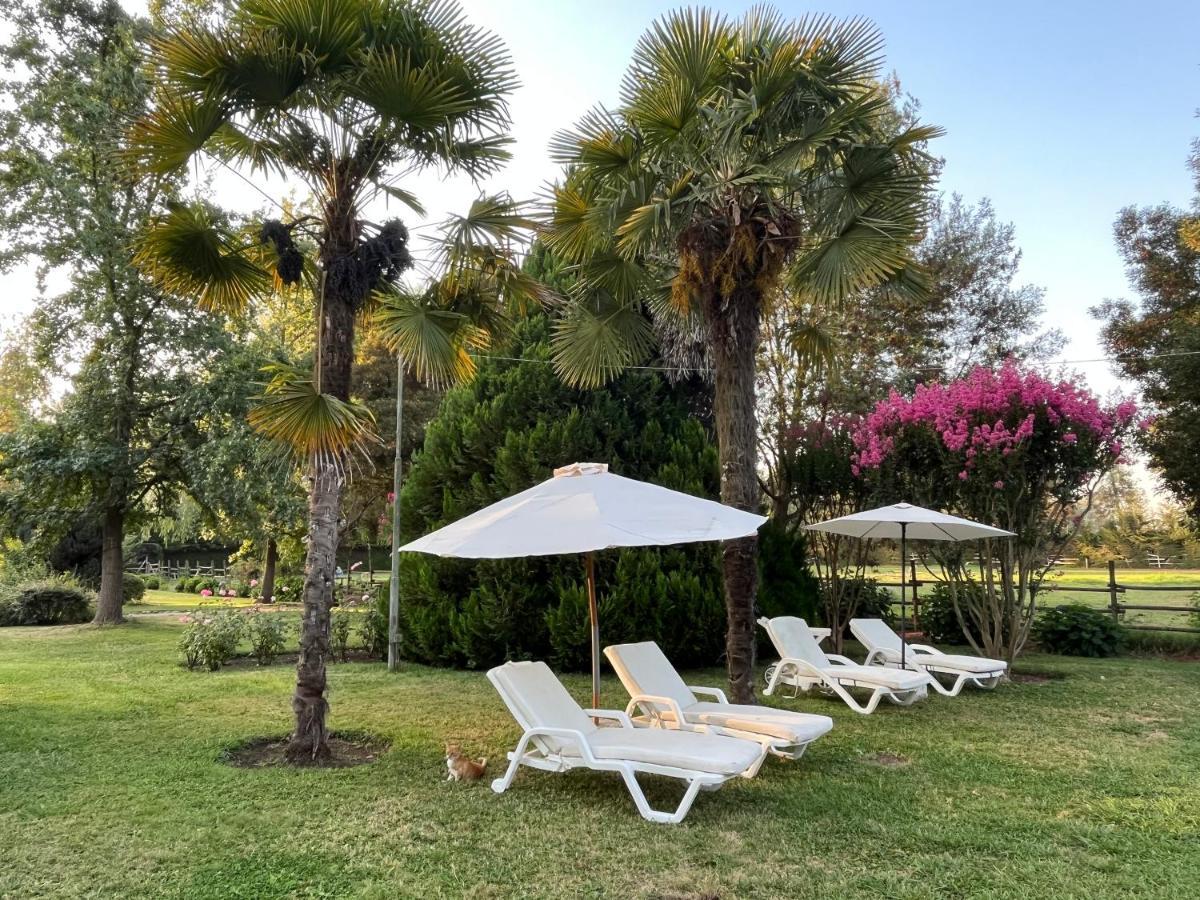 Bed&Breakfast ,Casa de campo San Esteban,Linares Miraflores Exterior foto